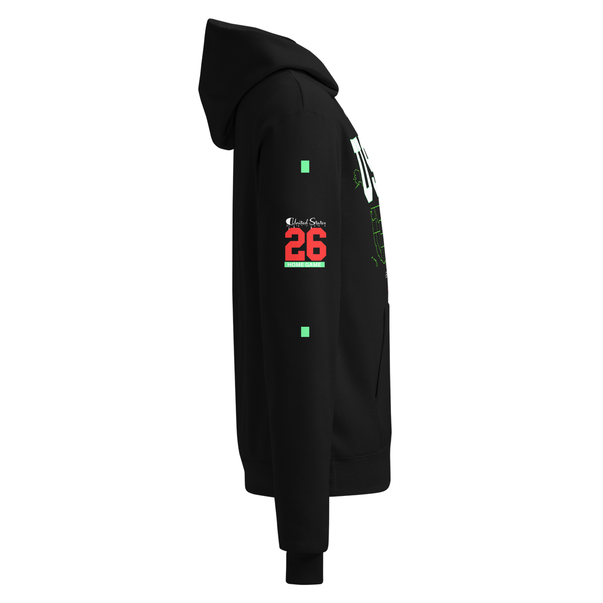 USA Champion Flag Hoodie