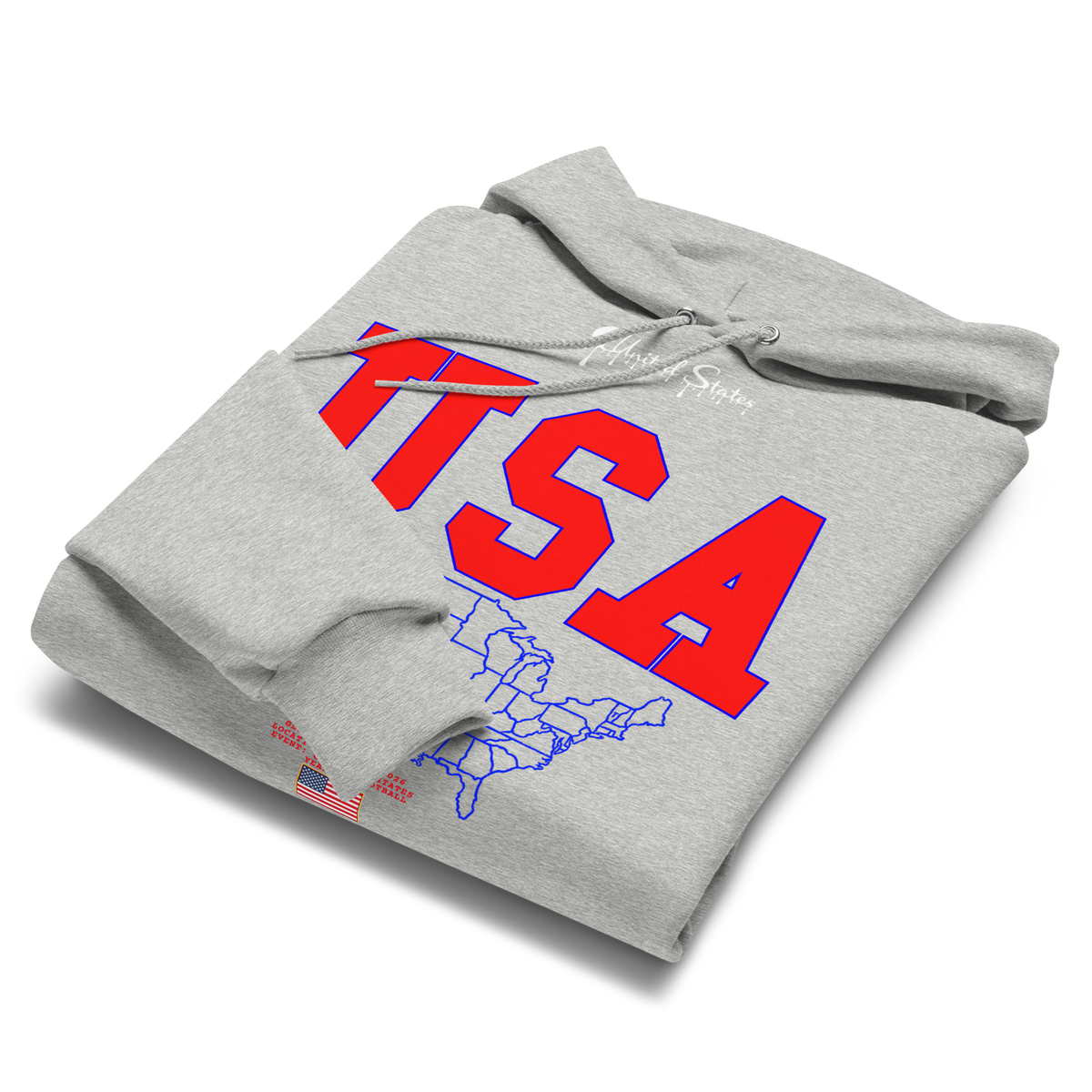 USA Champion Flag Hoodie